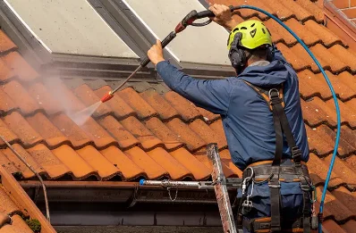 Démoussage et hydrofuge de toiture à Lainsecq